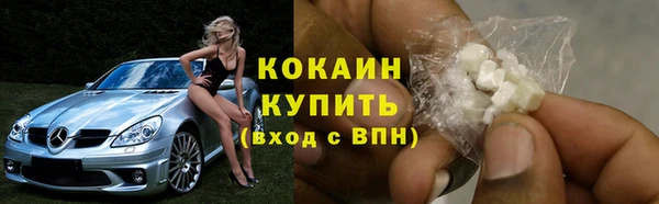 прущая мука Инсар