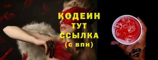 спиды Каменногорск