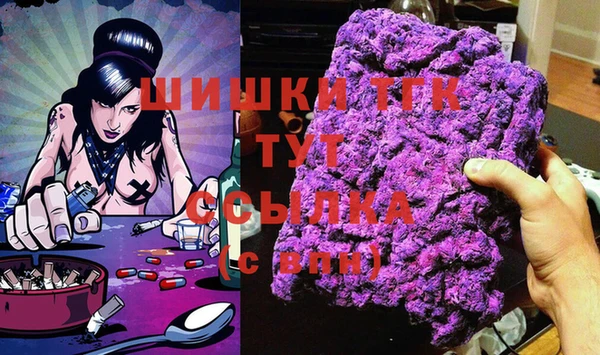 спиды Каменногорск