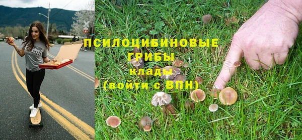 МДМА Каменка