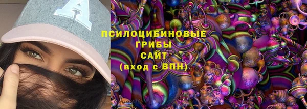 прущая мука Инсар