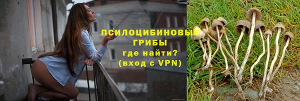 COCAINE Каменск-Шахтинский
