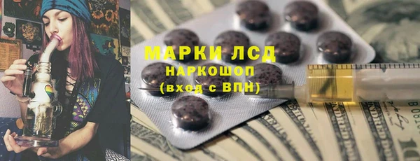 спиды Каменногорск