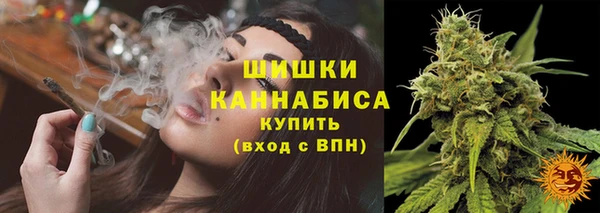 spice Иннополис