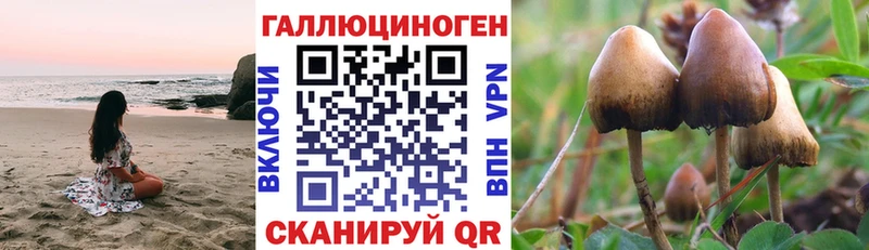 KRAKEN онион  Южно-Сахалинск  Галлюциногенные грибы Cubensis 