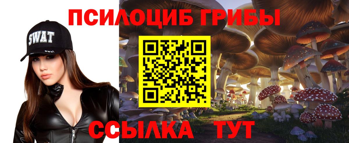 Псилоцибиновые грибы MAGIC MUSHROOMS  Вход с VPN  где найти   Южно-Сахалинск 